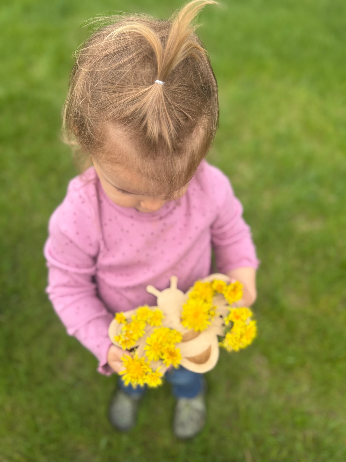 Bee flower scavenger hunt board