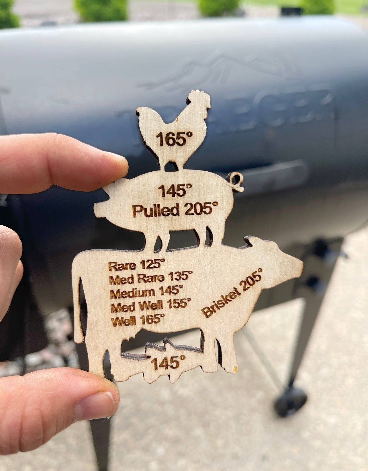 Meat Temperature Guide Magnet