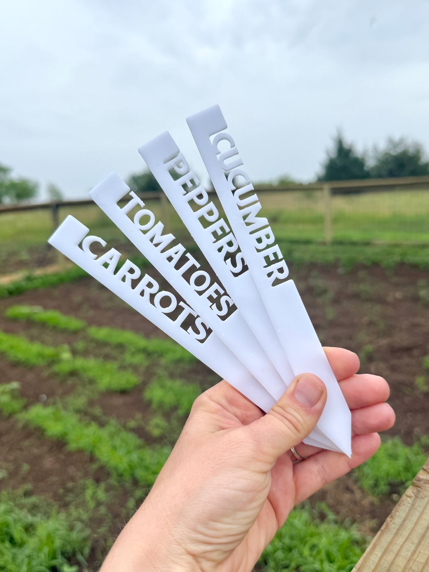 Acrylic Plant Stakes